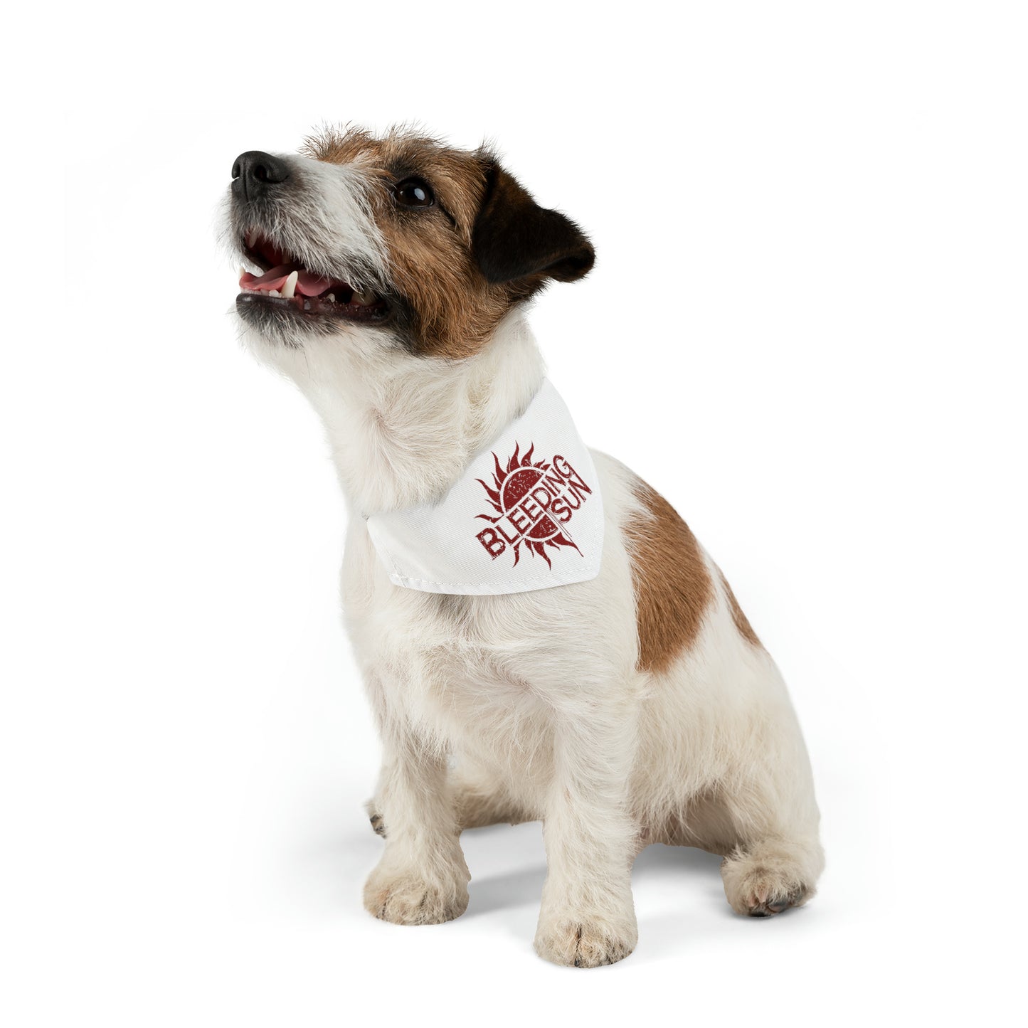 Heavy Metal Puppy Pet Bandana