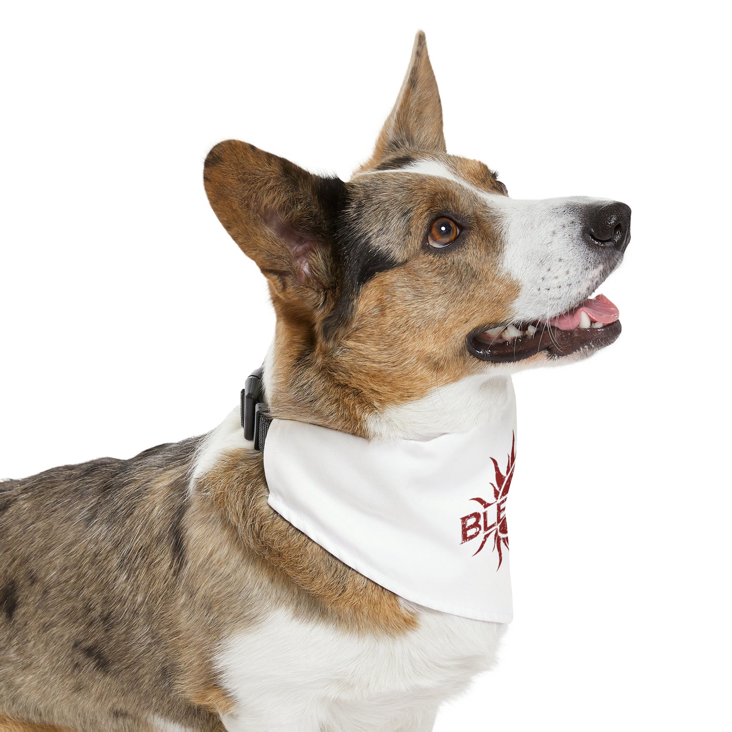 Heavy Metal Puppy Pet Bandana